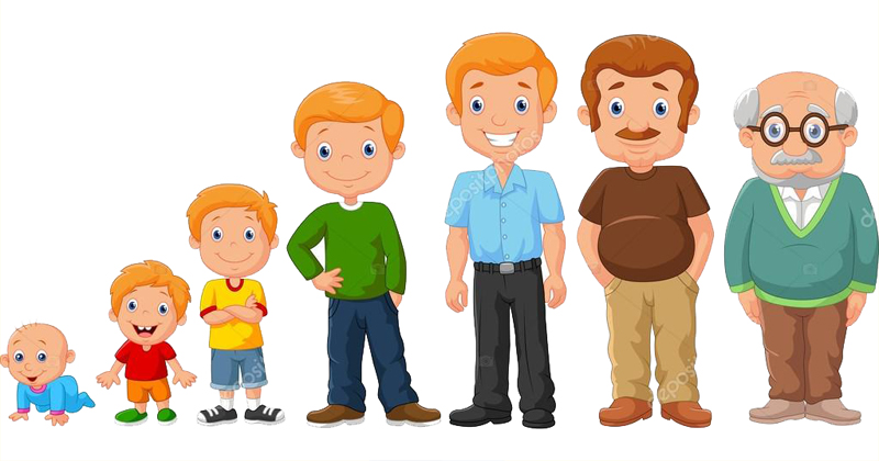 صفات ثانویه جنسی به ترتیب بروز